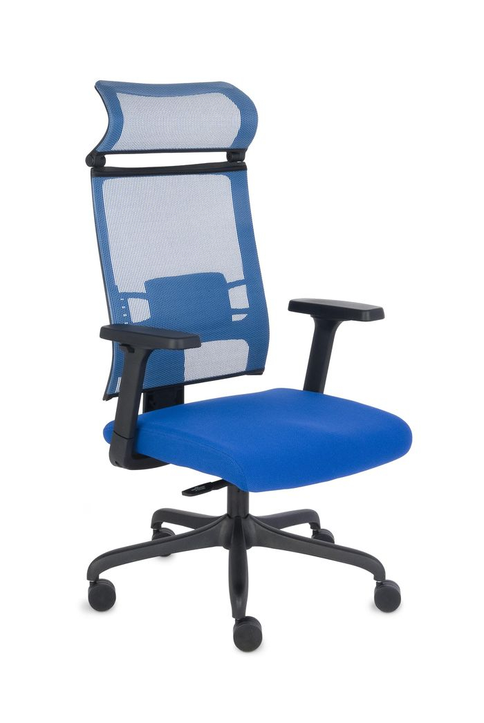 Fotel Biurowy obrotowy ERGOFIX TM03 niebieski