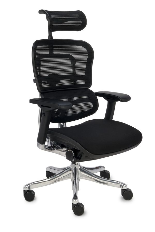 Fotel Obrotowy Ergohuman Plus BT KMD 31