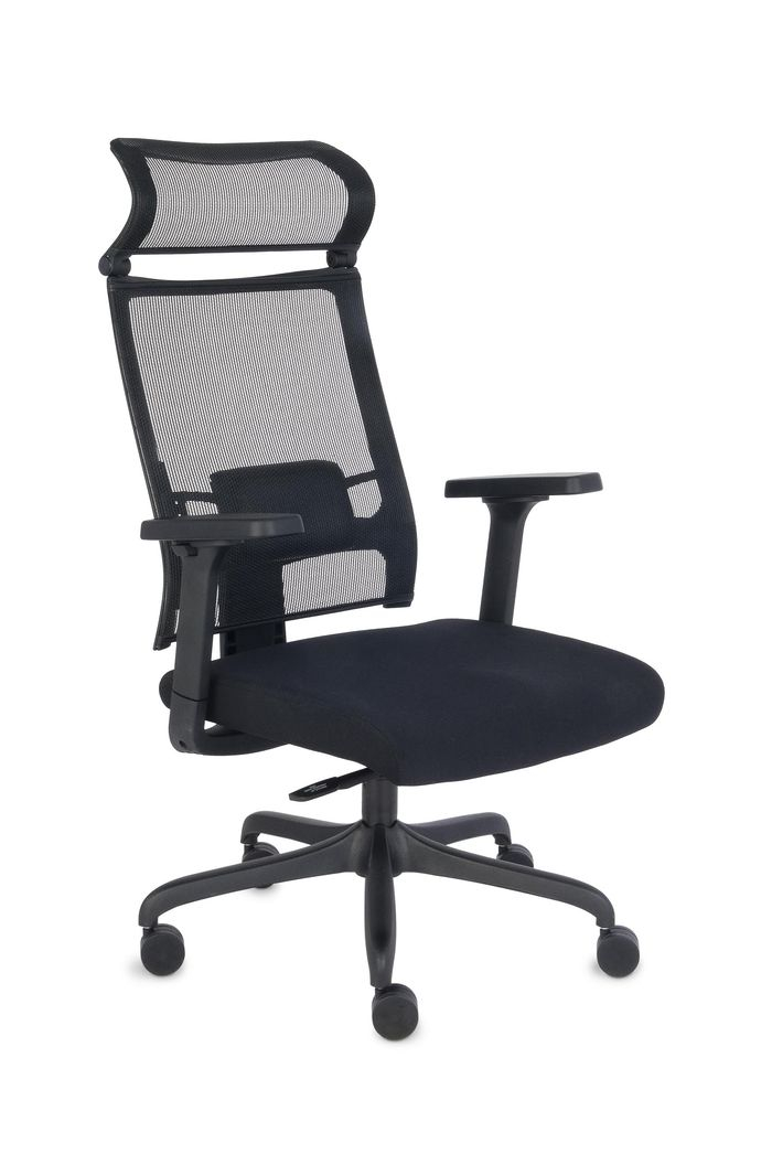 Fotel biurowy ERGOFIX TM01 czarny