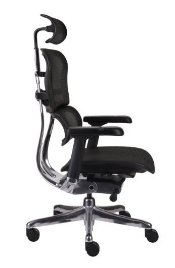 Fotel Ergohuman 2 Elite ST BS Black