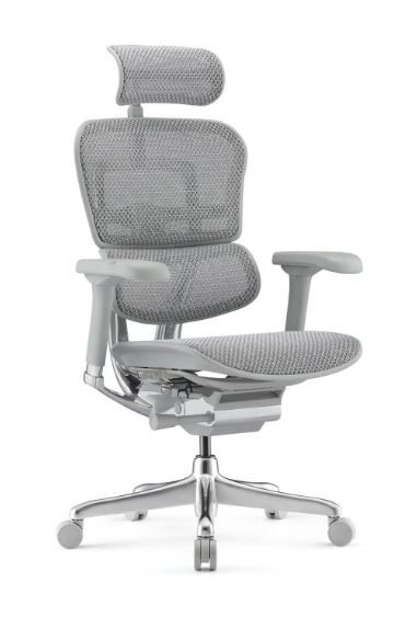 Fotel Ergohuman 2 Elite GS Grey