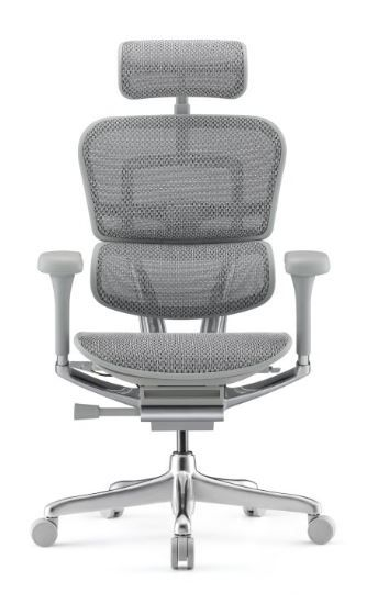 Fotel Ergohuman 2 Elite GS Grey