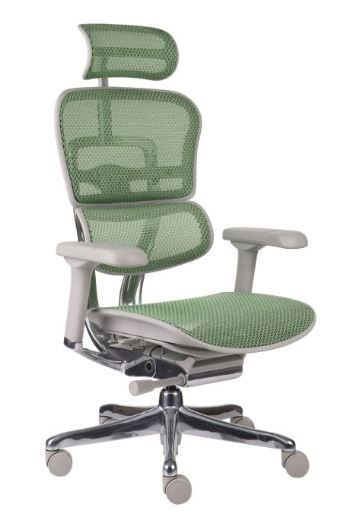 Fotel Ergohuman 2 Elite GS Green