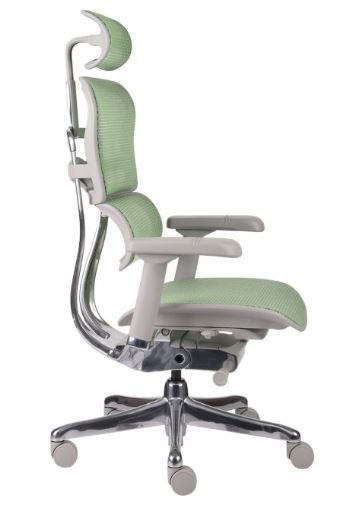 Fotel Ergohuman 2 Elite GS Green