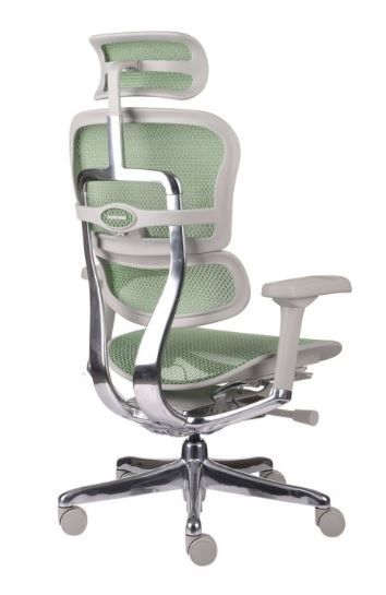 Fotel Ergohuman 2 Elite GS Green