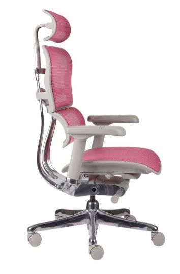 Fotel Ergohuman 2 Elite GS Pink