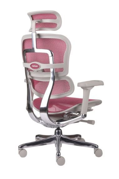 Fotel Ergohuman 2 Elite GS Pink