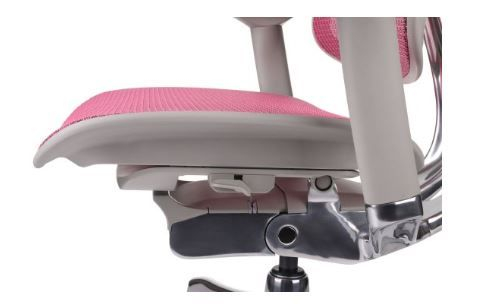 Fotel Ergohuman 2 Elite GS Pink